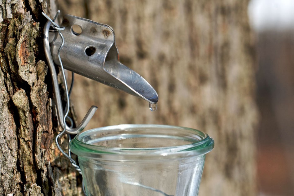 ¿Sabes qué beber? Agua de arce